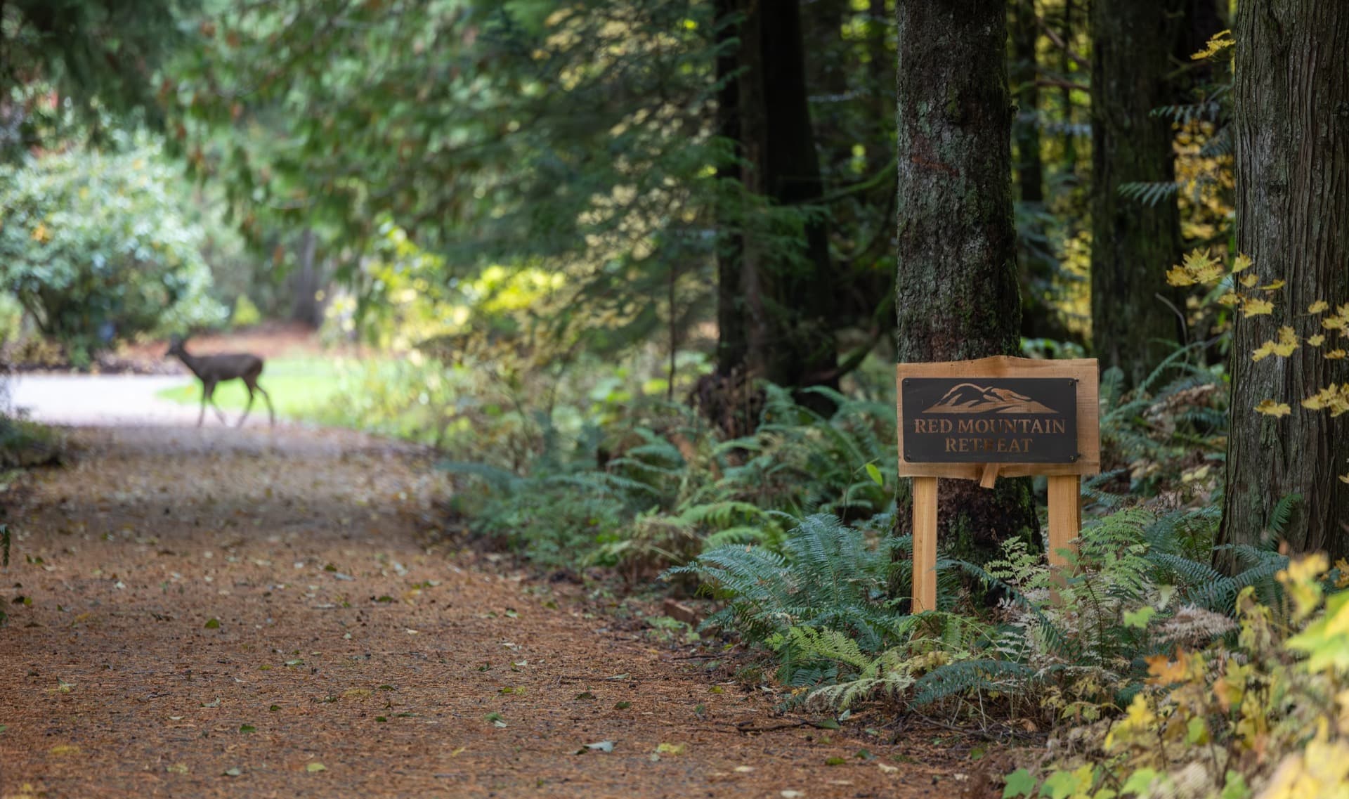 Red Mountain Retreat sign and deer — forest path